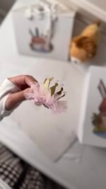 ⁦كوين كراون⁩ - الصورة ⁦2⁩