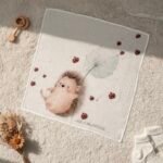 ⁦كوكينيلا⁩ - الصورة ⁦2⁩