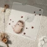 ⁦كوكينيلا⁩ - الصورة ⁦9⁩