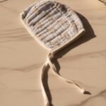 ⁦كبوس ايليفانتا⁩ - الصورة ⁦2⁩